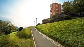 Salita verso la Torre Enderlin dal Dog Park - @ Alessandro Rabaglio