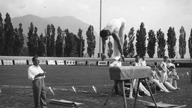 Festa federale di ginnastica