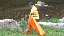 Giornate insubriche del verde pulito