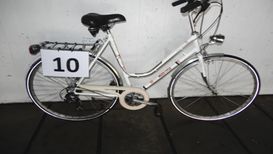 10 Multicycle bianca