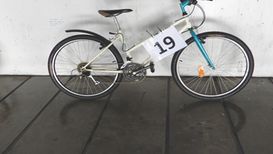 19 TRC bianca azzurra
