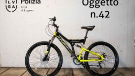 42 Gecko giallo nero