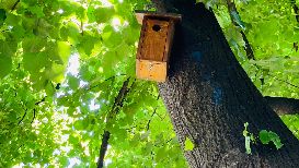 Una cassetta nido al Parco Pico (foto Sabrina Montiglia)