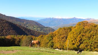 foto-bogno-07