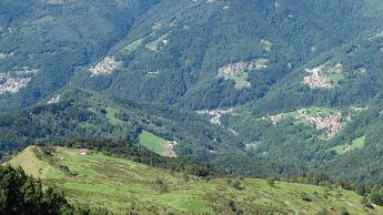 cimadera_pascolo