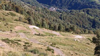 foto-colla-01