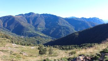 foto-colla-02