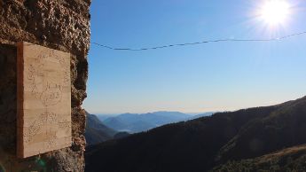 foto-colla-06