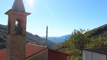 foto-colla-14
