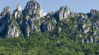 villa_luganese_montagna