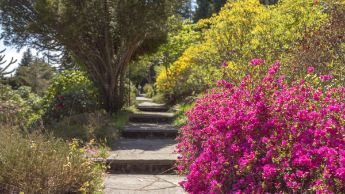 Parc San Grato