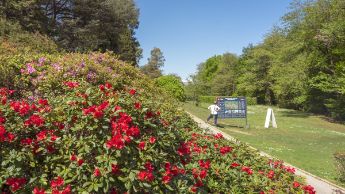 Parc San Grato