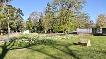 Tulipani al Parco Ciani - © Città di Lugano/Sabrina Montiglia