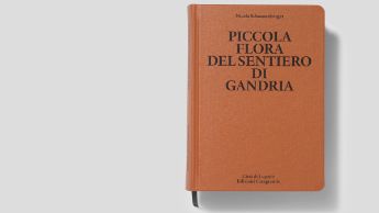 FLORA_GANDRIA_1