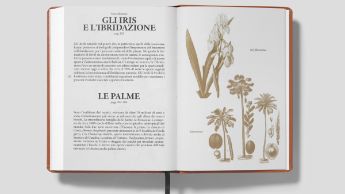 FLORA_GANDRIA_11