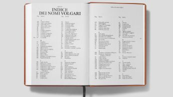 FLORA_GANDRIA_13