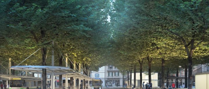 Piazzale ex scuole - Progetto L'uomo che piantava gli alberi