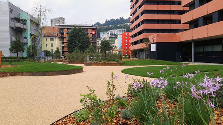 parco-via-brentani-405