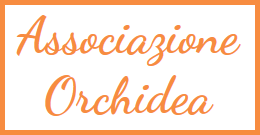 associazione-orchidea.png