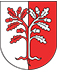 Gonfalone Davesco-Soragno