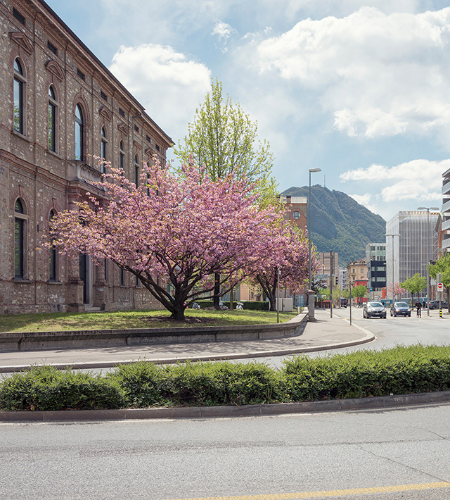 header-molino-nuovo-1280