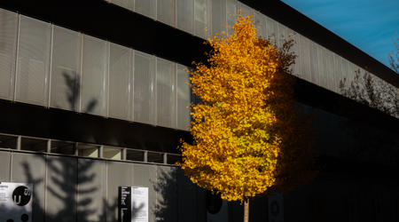 DSC02751-2.jpg