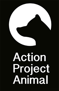 Action Project Animal